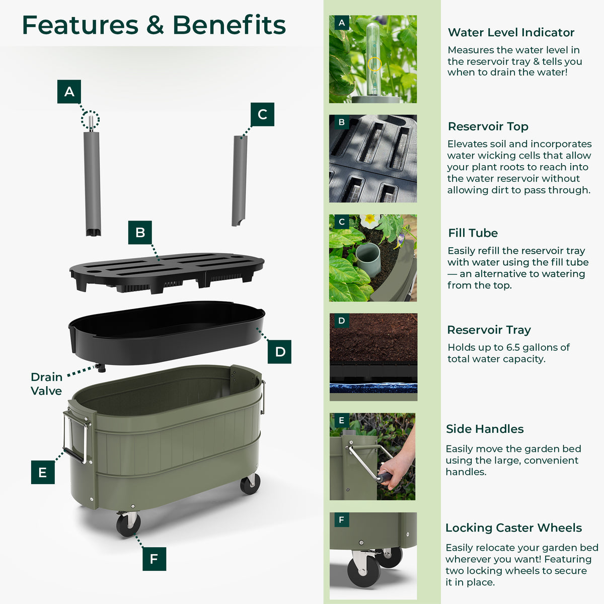 Self-Watering Garden Bed with Caster Wheels