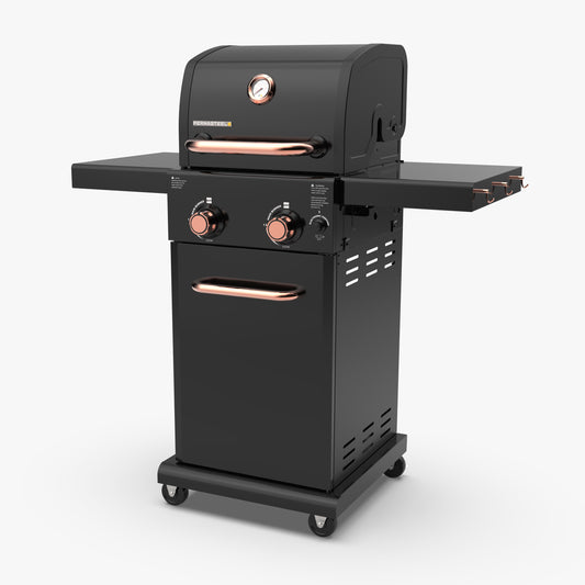 2-Burner Gas Grill with Foldable Side Shelves