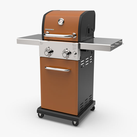 2-Burner Gas Grill with Foldable Side Shelves