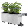 Self-Watering Herb Garden Planter with Adjustable Bracket