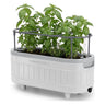Self-Watering Herb Garden Planter