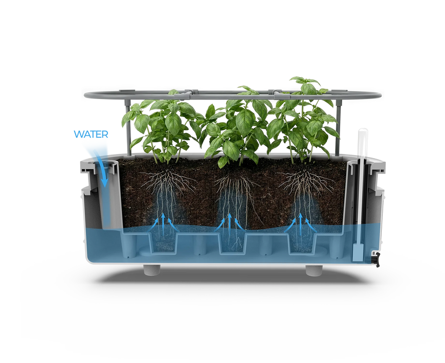Self-Watering System