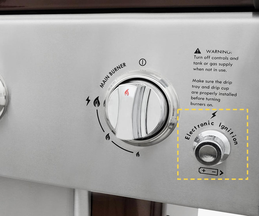 Electronic Ignition