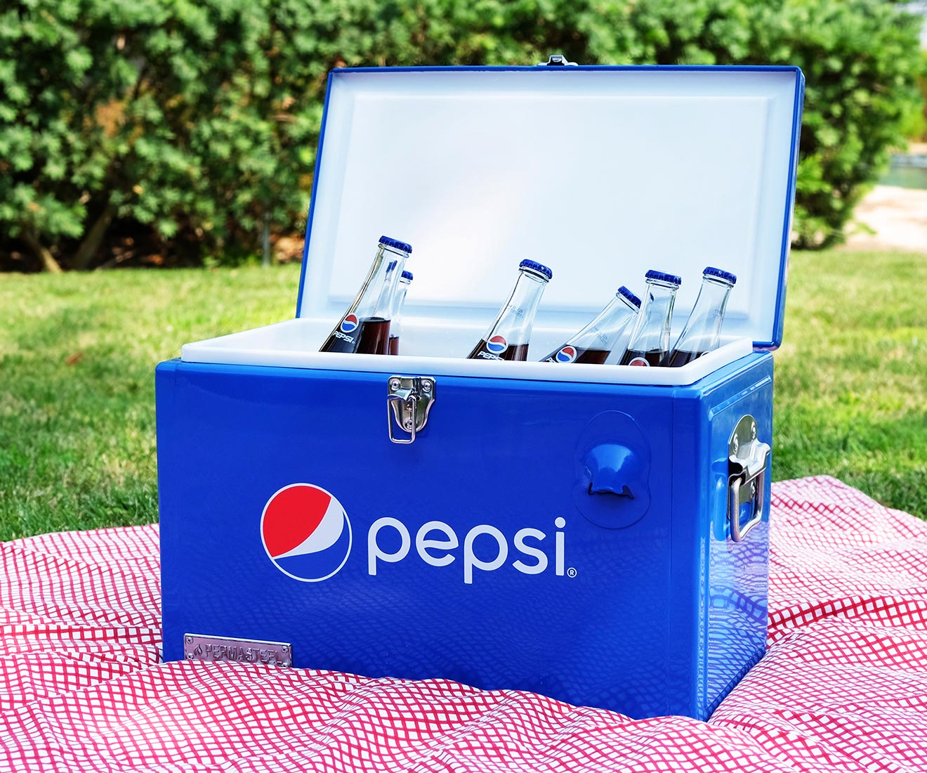 Pepsi ice sales box price