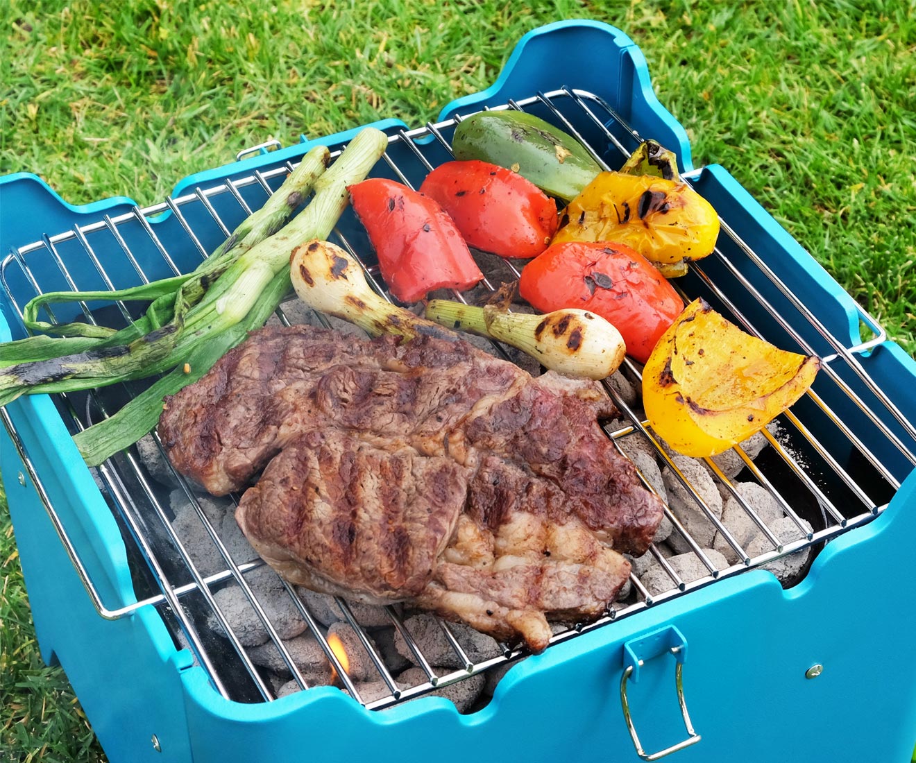 Permasteel Small Portable Charcoal Grill in Teal BBQ Flavor Flavored Grilled Veggies Meat Seafood Protein