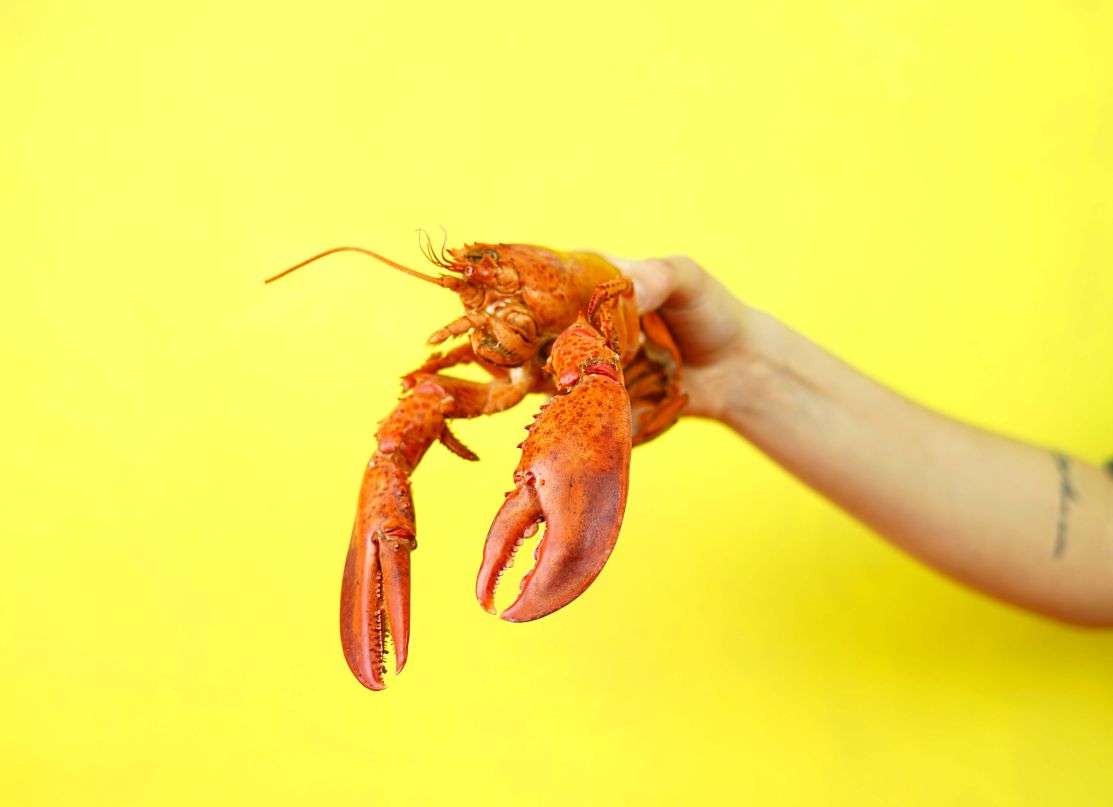 Is It Possible to Grill Lobster?