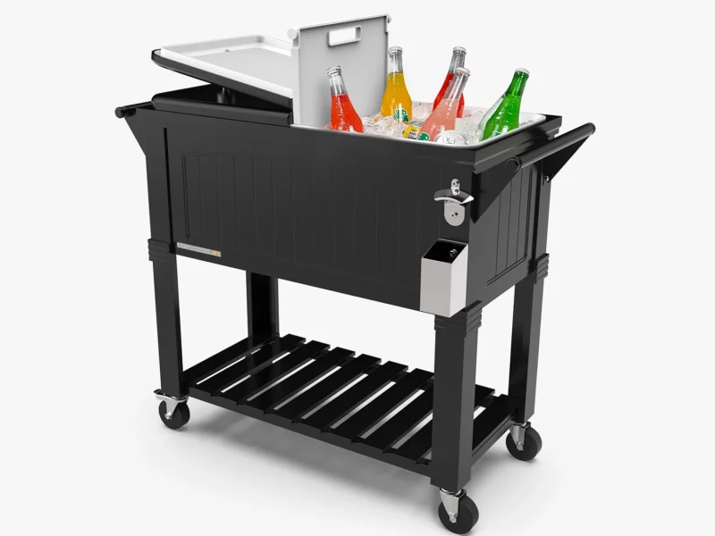 PS 203F1D BK main 01c