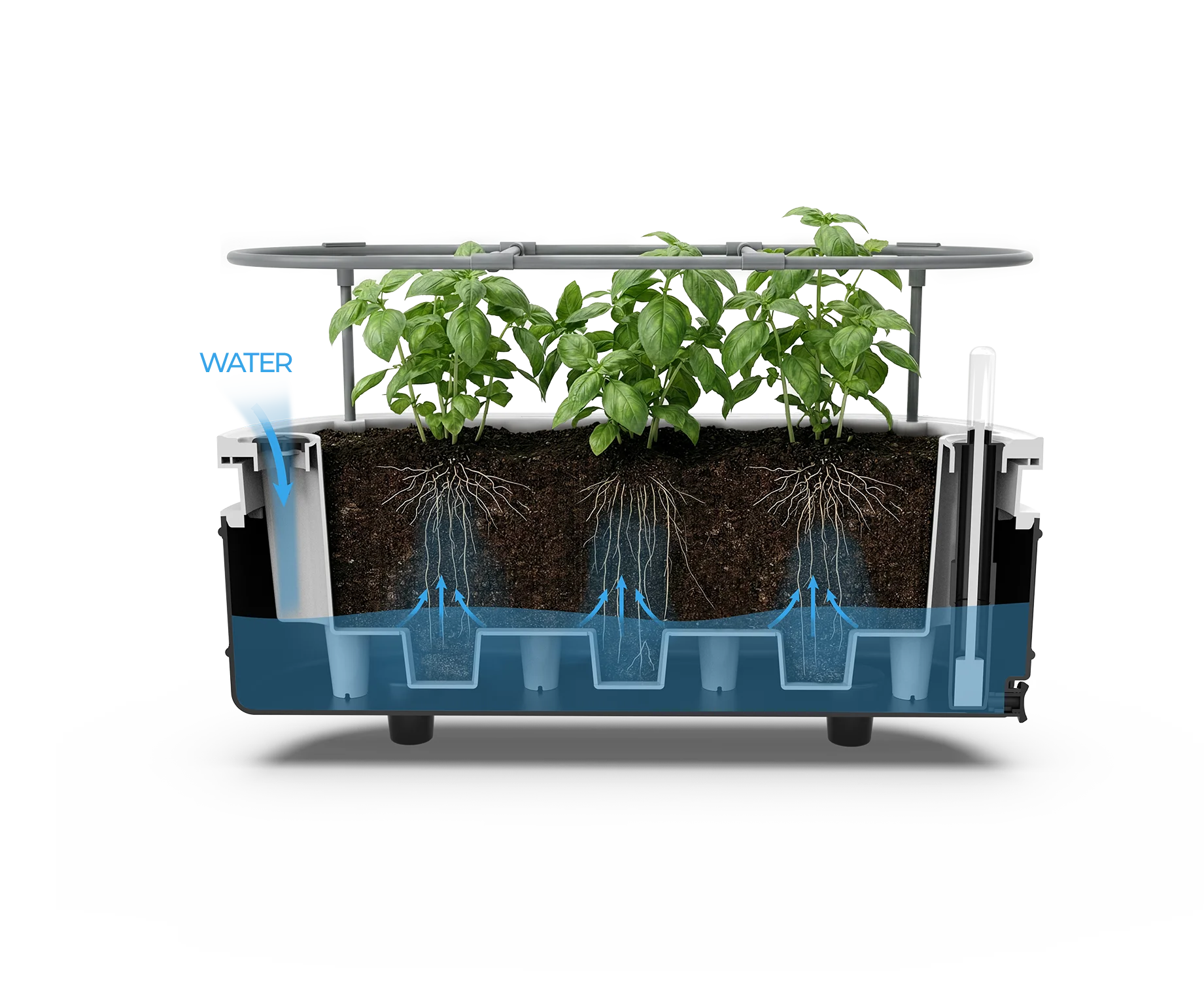 PGB 50014 BK selfwatering