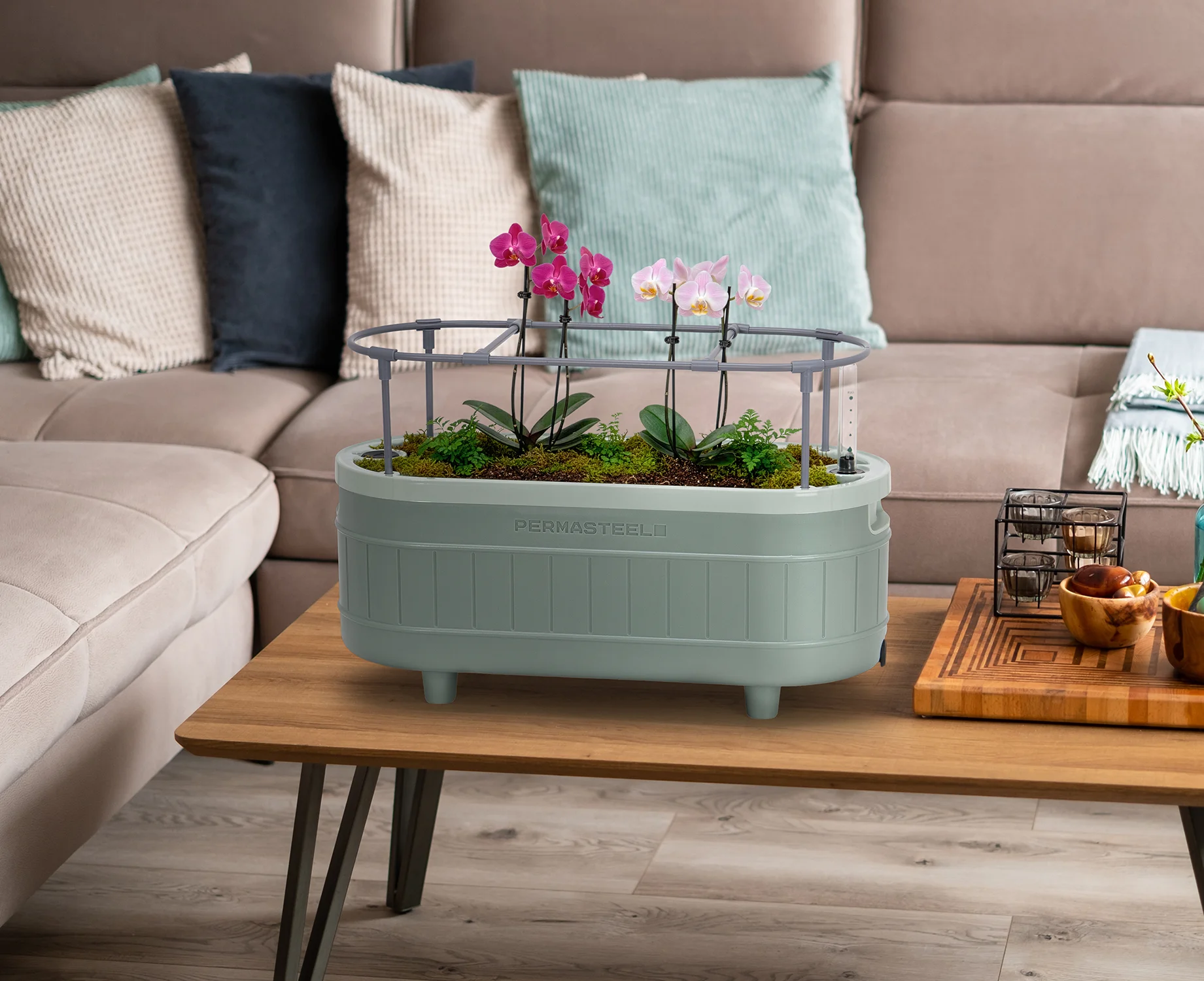 PGB 50014 morethanherbs