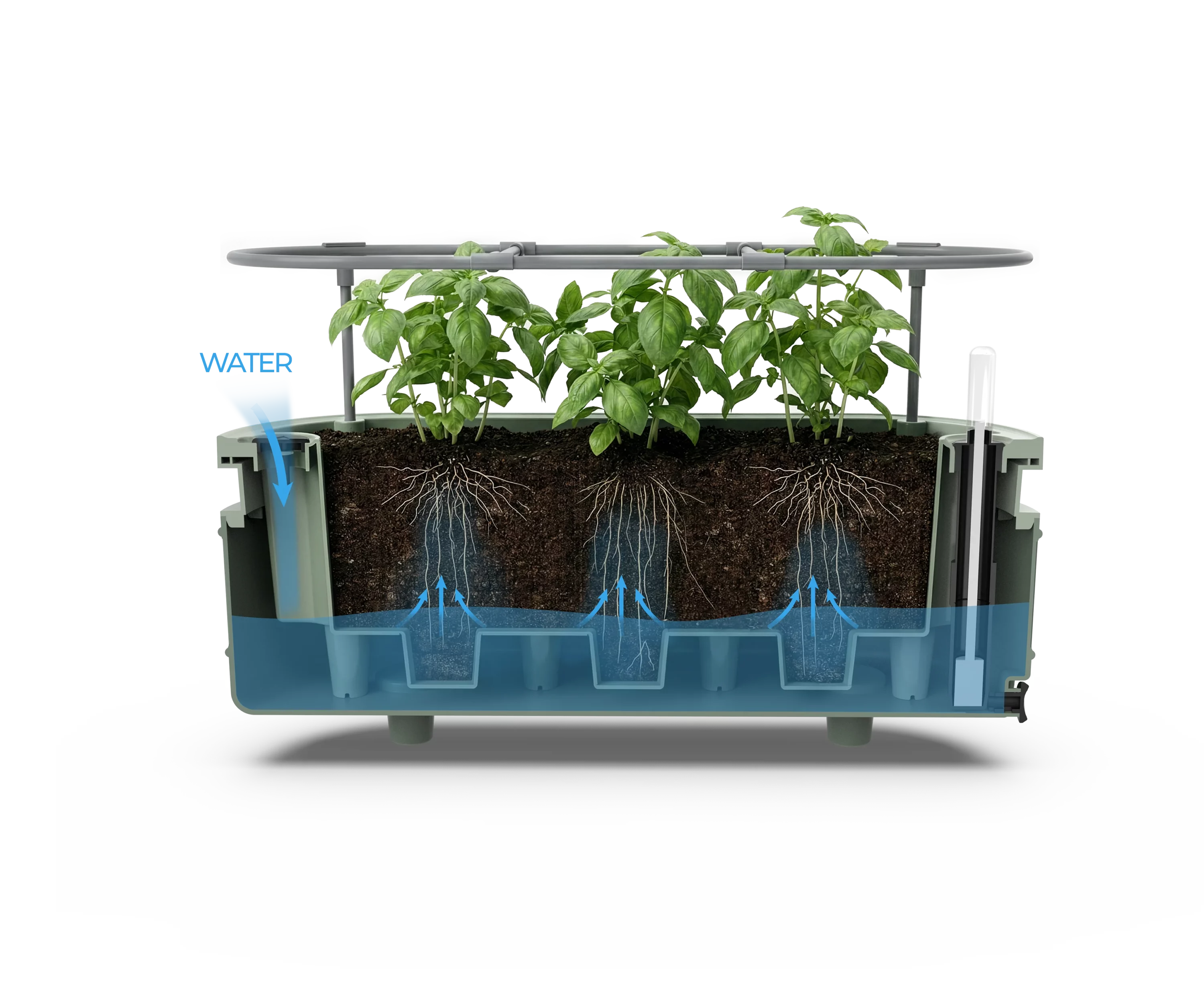 PGB 50014 self watering